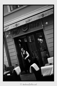 Elegant Waiter, Pecs 2011